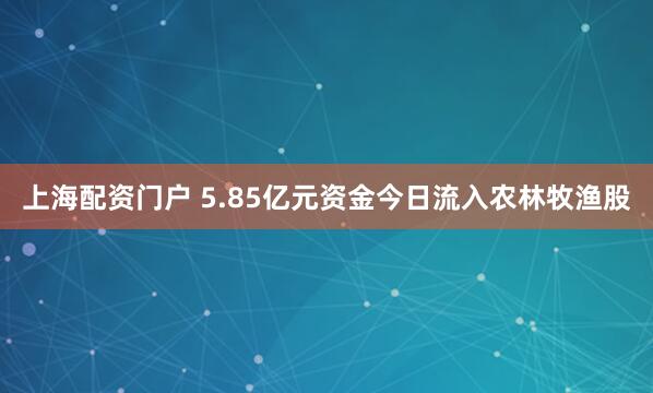 上海配资门户 5.85亿元资金今日流入农林牧渔股